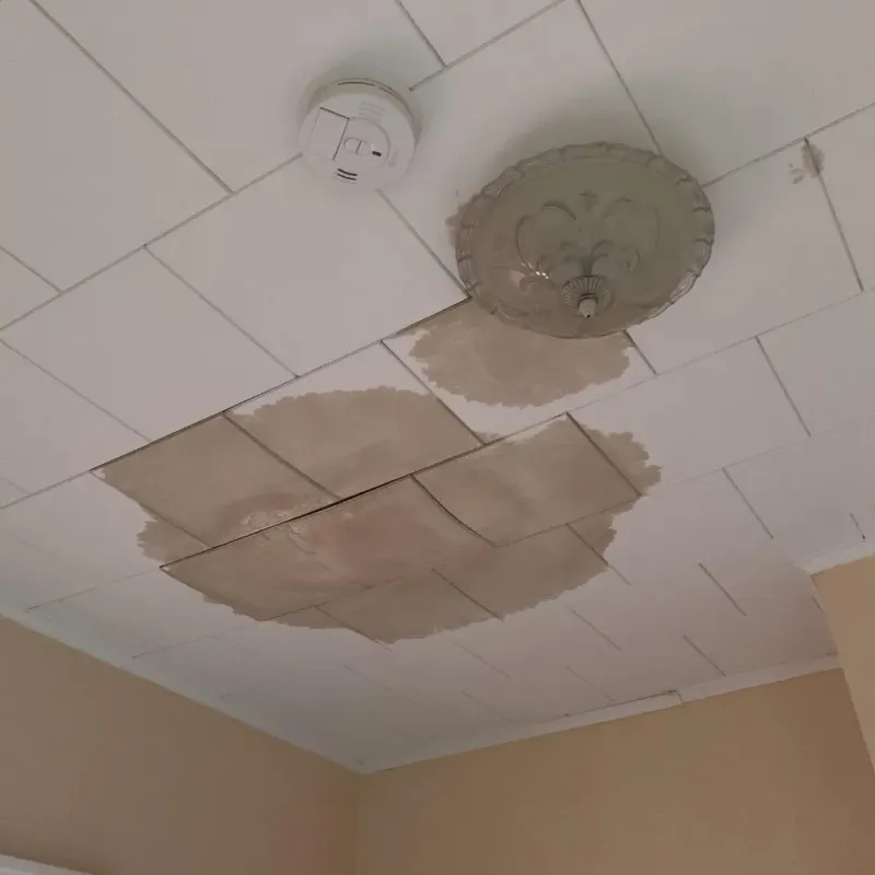 Ceiling Water Damage Repair in Ham Lake, MN