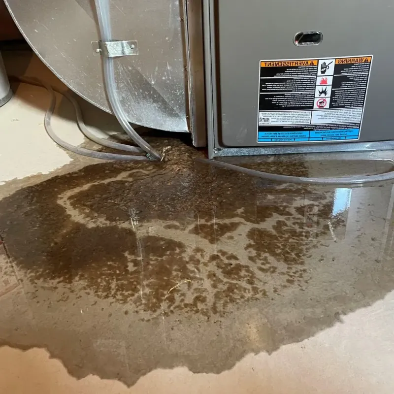 Pipe Burst and Leak Restoration in Ham Lake, MN