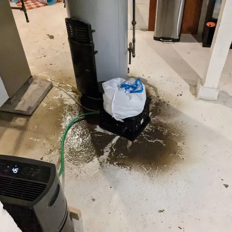 Sewage Backup Cleanup Service in Ham Lake, MN